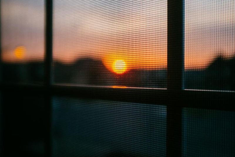 Window with a fine insect screen in the evening light