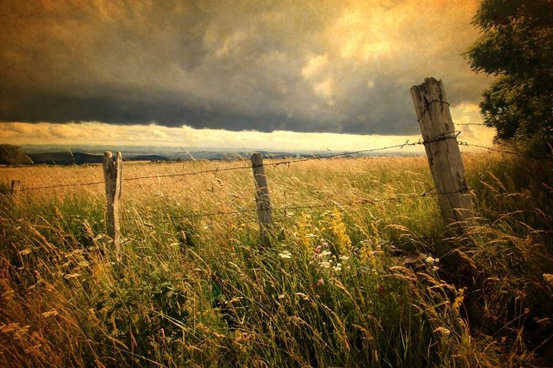 Prado estival con hierba alta y valla bajo nubes de tormenta: tiempo de trips