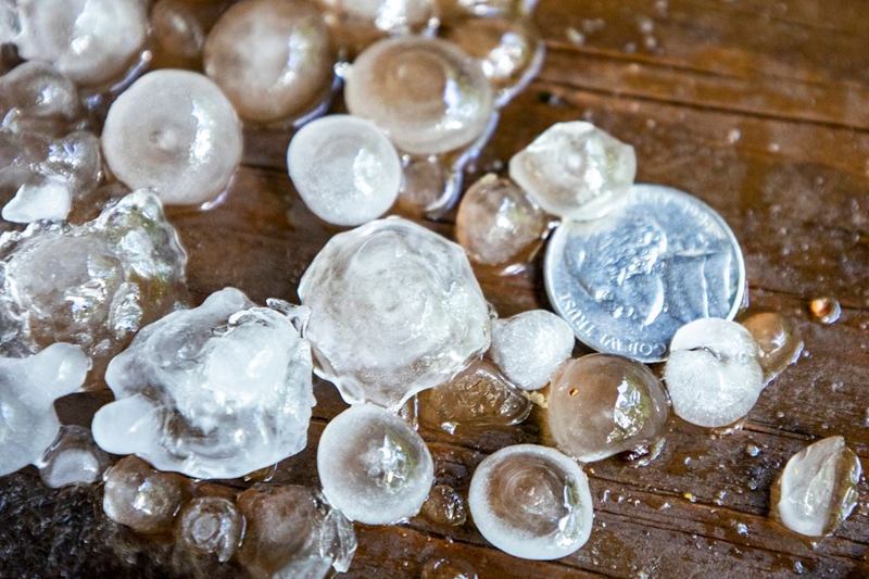 Granizos grandes sobre un suelo de madera mojado, posible causa de daños por granizo