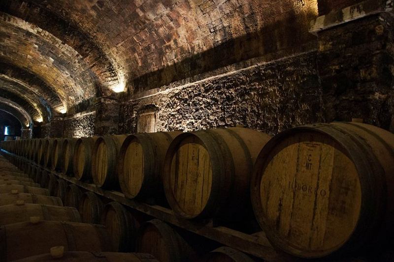 Vaulted cellar with wooden barrels, removing musty cellar smell