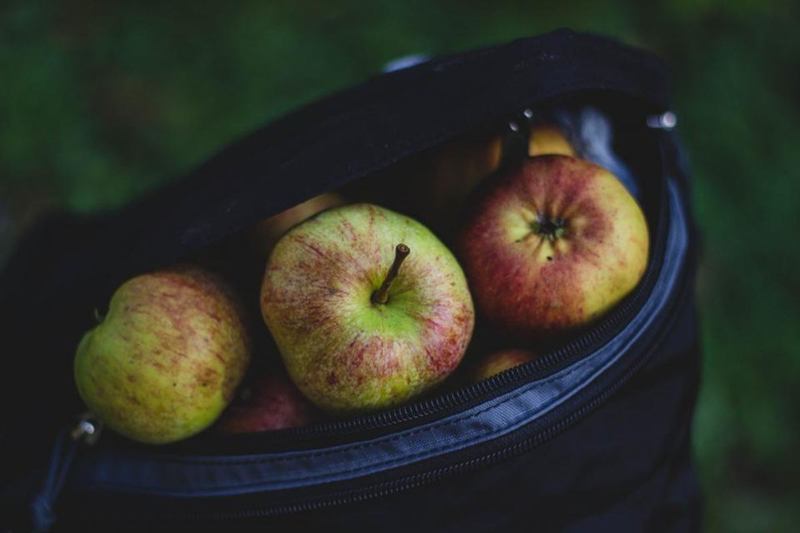 Manzanas frescas en una bolsa oscura, como la que se lleva de excursión