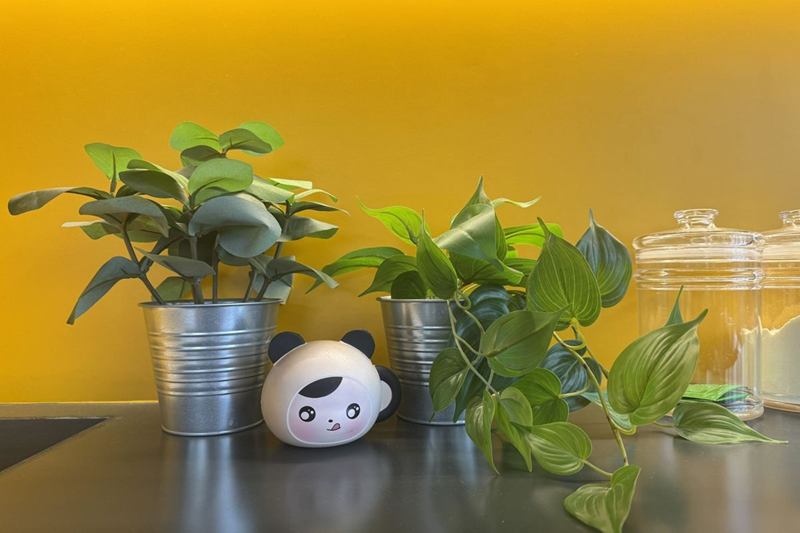 Dos plantas artificiales en macetas de metal sobre una encimera, que hay que desempolvar