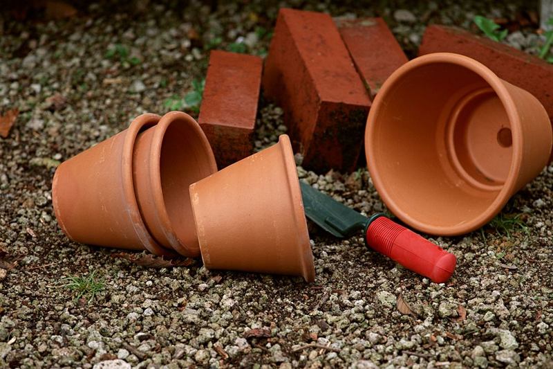 Macetas de barro en el jardín, trampa ideal para las tijeretas en casa