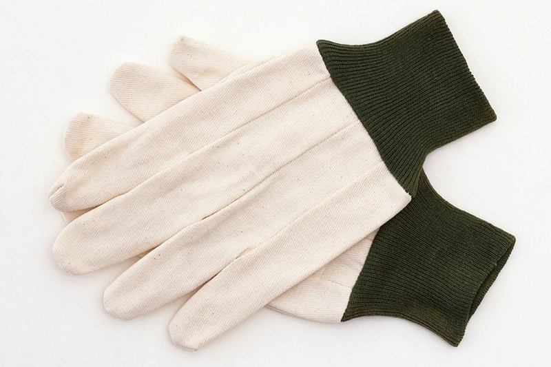 Un par de guantes de trabajo de tela con puños verdes para la mudanza