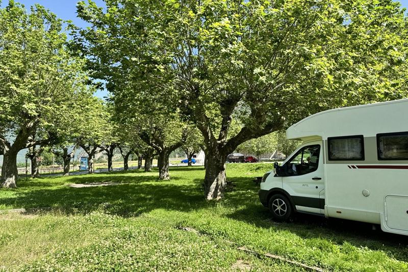 Autocaravana blanca aparcada en el césped bajo los árboles, lista para la temporada